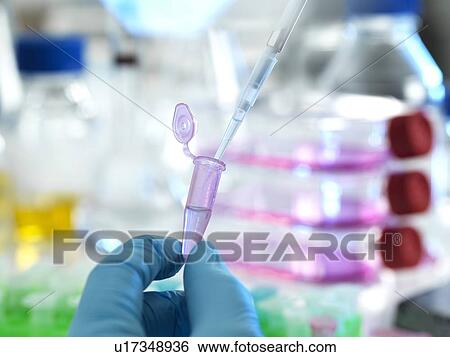 Genetic research View Large Photo Image Stock Photograph - Genetic research. Fotosearch