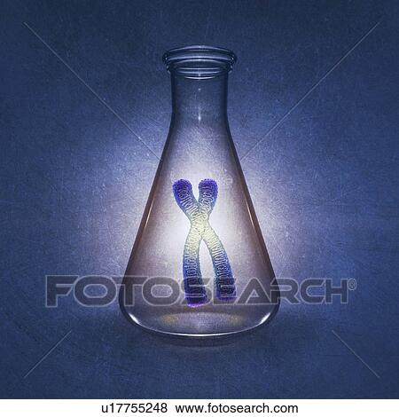 Genetics research, conceptual illustration View Large Photo Image Stock Photo - Genetics research, conceptual illustration. Fotosearch