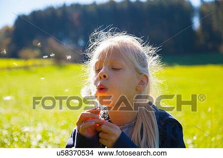 Picture - Girl blowing seeds from dandelion clock in field, backlit. Fotosearch