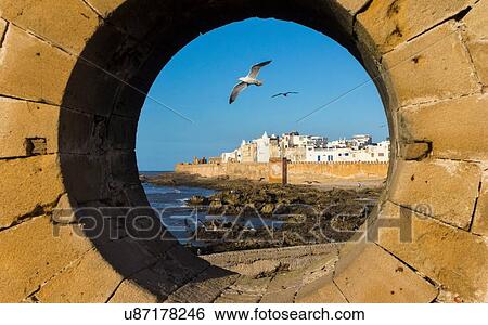Stock Photograph - Gulls seen through port hole, Essaouira, Morocco. Fotosearch