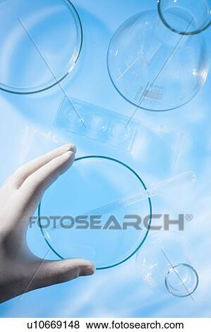 Hand and petri dish in laboratory surrounded by glassware. View Large Photo Image Stock Photo - Hand and petri dish in laboratory surrounded by glassware.. Fotosearch