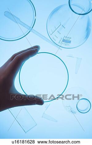 Stock Photo - Hand and petri dish in laboratory surrounded by glassware.. Fotosearch