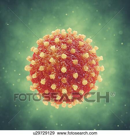 Stock Photo - Hepatitis virus, illustration. Fotosearch
