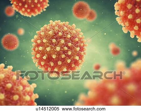 Hepatitis viruses, illustration View Large Photo Image Stock Photography - Hepatitis viruses, illustration. Fotosearch
