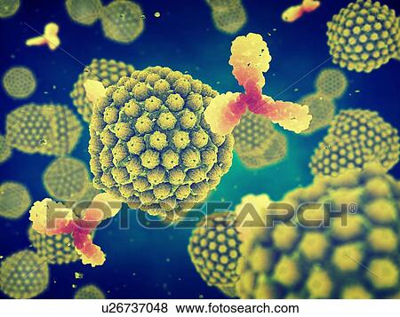 Stock Photo - Herpes viruses and antibodies, illustration. Fotosearch