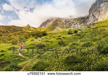 Stock Image - Hiker near Fuente De in national reserve Parque National de los Picos de Europa, Potes, Cantabria, Spain. Fotosearch