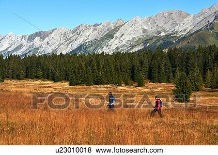 Hikers on grassy field, mountains in background, Manigod, Rhone-Alpes, France View Large Photo Image Stock Photo - Hikers on grassy field, mountains in background, Manigod, Rhone-Alpes, France. Fotosearch