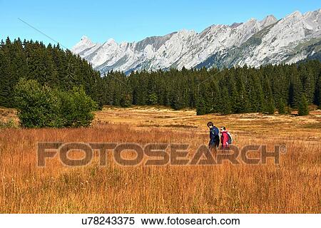 Stock Photography - Hikers on grassy field, mountains in background, Manigod, Rhone-Alpes, France. Fotosearch