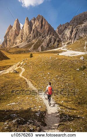 Hiking in Puez-Geisler, around Geislergruppe, Dolomites, Trentino-Alto Adige, Italy View Large Photo Image Stock Image - Hiking in Puez-Geisler, around Geislergruppe, Dolomites, Trentino-Alto Adige, Italy. Fotosearch