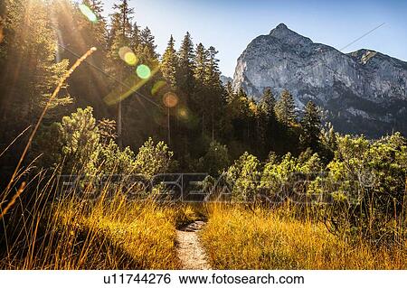 Stock Photograph - Hiking trail, Karwendel region, Hinterriss, Tirol, Austria. Fotosearch