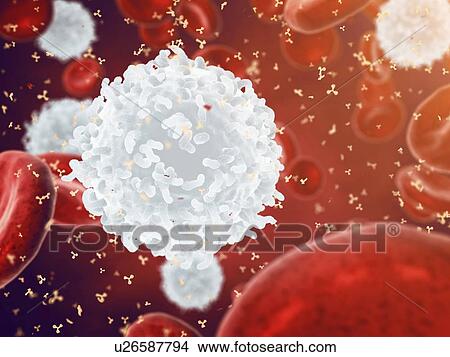 Human blood cells, illustration View Large Photo Image Picture - Human blood cells, illustration. Fotosearch