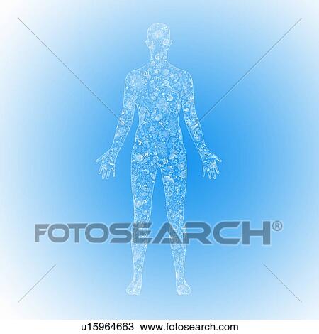 Human body biomes, illustration View Large Photo Image Stock Image - Human body biomes, illustration. Fotosearch
