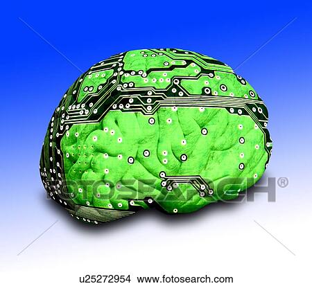 Picture - Human brain and circuit board. Fotosearch