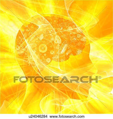 Picture - Human brain biomes, illustration. Fotosearch