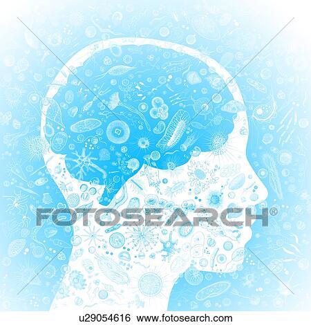 Human brain biomes, illustration View Large Photo Image Stock Photograph - Human brain biomes, illustration. Fotosearch