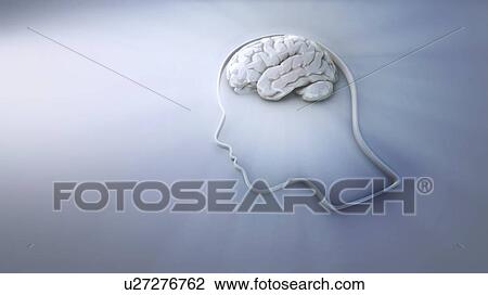 Stock Image - Human intelligence and creativity, conceptual illustration.. Fotosearch