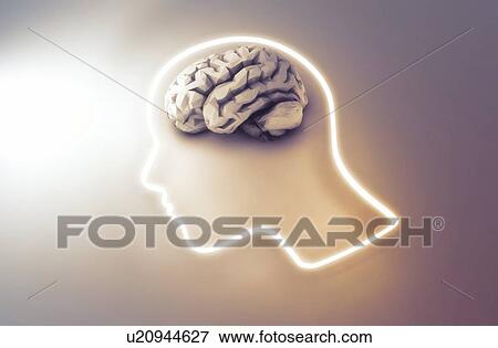 Human intelligence and creativity, conceptual illustration. View Large Photo Image Stock Photo - Human intelligence and creativity, conceptual illustration.. Fotosearch