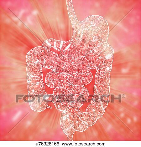 Stock Photograph - Human intestinal biomes, illustration. Fotosearch