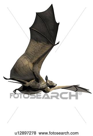 Icaronycteris against a white background, illustration. View Large Photo Image Stock Photo - Icaronycteris against a white background, illustration.. Fotosearch