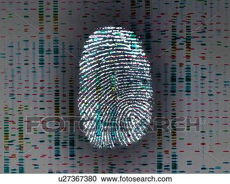 Identity, conceptual image View Large Photo Image Stock Image - Identity, conceptual image. Fotosearch