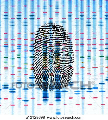 Identity, conceptual image View Large Photo Image Stock Photo - Identity, conceptual image. Fotosearch