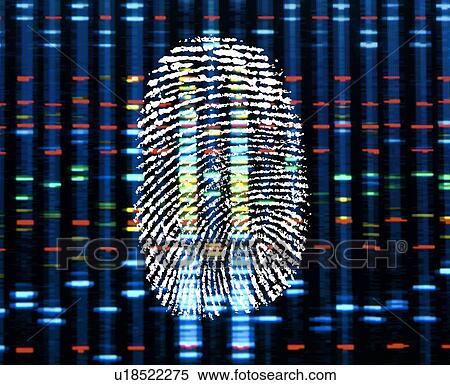 Identity, conceptual image View Large Photo Image Stock Photography - Identity, conceptual image. Fotosearch