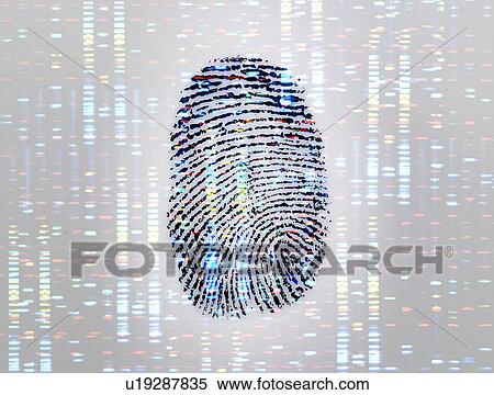 Identity, conceptual image View Large Photo Image Stock Photography - Identity, conceptual image. Fotosearch