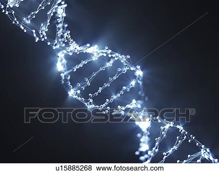 Stock Photo - Illuminated dna (Deoxyribonucleic acid) strands, illustration.. Fotosearch
