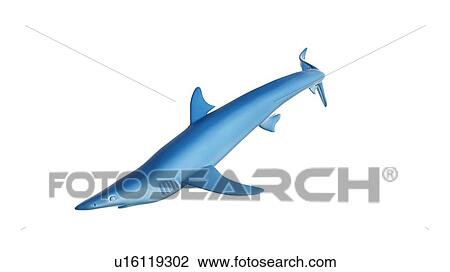Stock Image - Illustration of a blue shark. Fotosearch