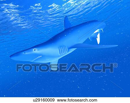 Stock Photo - Illustration of a blue shark. Fotosearch