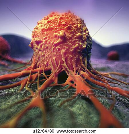Illustration of a cancer cell View Large Photo Image Stock Image - Illustration of a cancer cell. Fotosearch