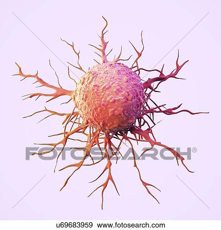 Illustration of a cancer cell View Large Photo Image Stock Photo - Illustration of a cancer cell. Fotosearch