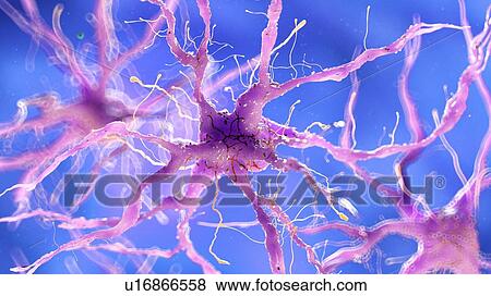 Stock Photo - Illustration of a damaged nerve cell. Fotosearch