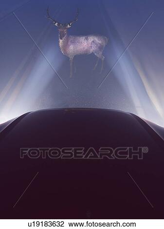 Illustration of a deer in front of a car View Large Photo Image Stock Image - Illustration of a deer in front of a car. Fotosearch