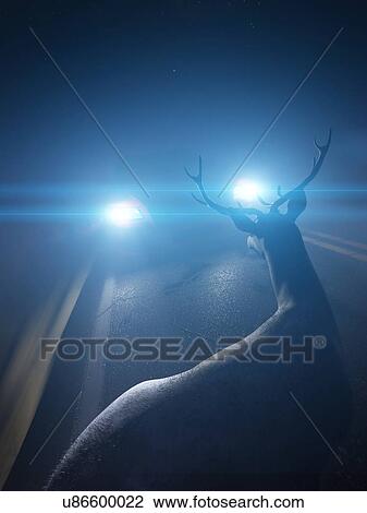 Stock Image - Illustration of a deer in front of a car. Fotosearch