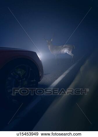 Stock Photo - Illustration of a deer in front of a car. Fotosearch