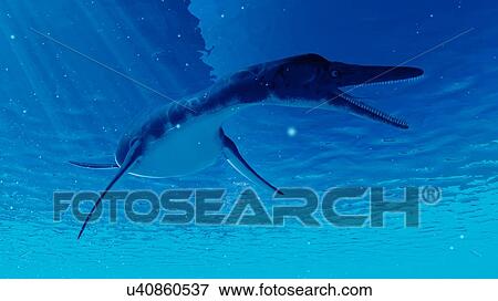 Stock Photo - Illustration of a dolichorhynchops. Fotosearch