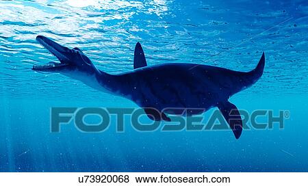 Stock Photo - Illustration of a dolichorhynchops. Fotosearch