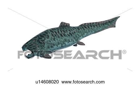 Stock Image - Illustration of a dunkleosteos. Fotosearch