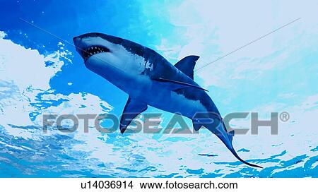 Picture - Illustration of a great white shark. Fotosearch