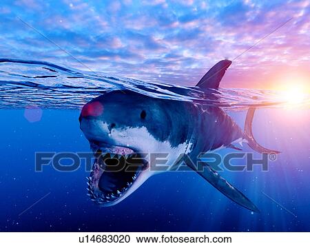 Stock Image - Illustration of a great white shark. Fotosearch