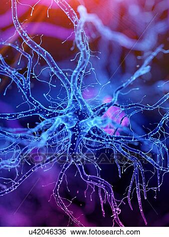 Illustration of a human nerve cell View Large Photo Image Stock Photograph - Illustration of a human nerve cell. Fotosearch