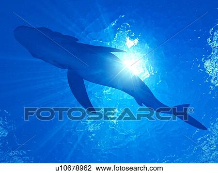 Illustration of a Leedsichthys View Large Photo Image Stock Image - Illustration of a Leedsichthys. Fotosearch