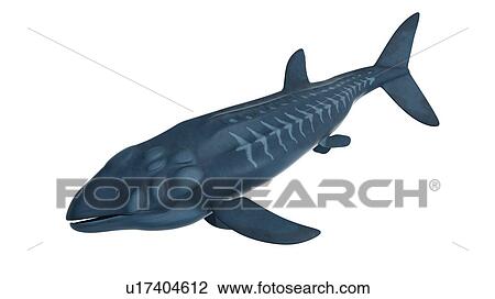 Stock Image - Illustration of a Leedsichthys. Fotosearch