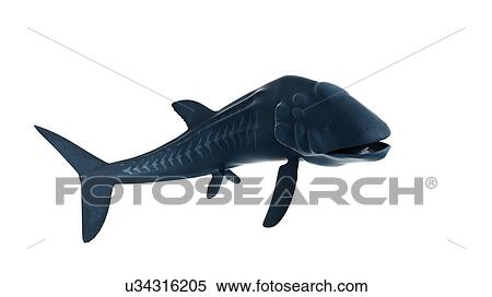 Illustration of a Leedsichthys View Large Photo Image Stock Photography - Illustration of a Leedsichthys. Fotosearch