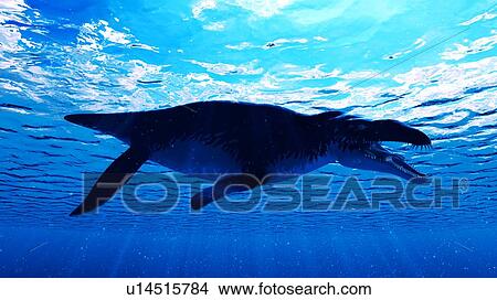 Picture - Illustration of a Liopleurodon. Fotosearch