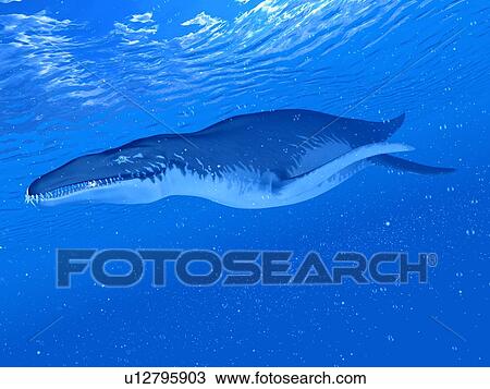 Illustration of a Liopleurodon View Large Photo Image Stock Image - Illustration of a Liopleurodon. Fotosearch