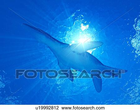 Stock Image - Illustration of a Liopleurodon. Fotosearch