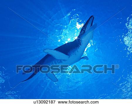 Stock Photo - Illustration of a Liopleurodon. Fotosearch