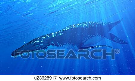 Stock Photo - Illustration of a Liopleurodon. Fotosearch
